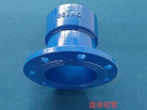 盘承短管1